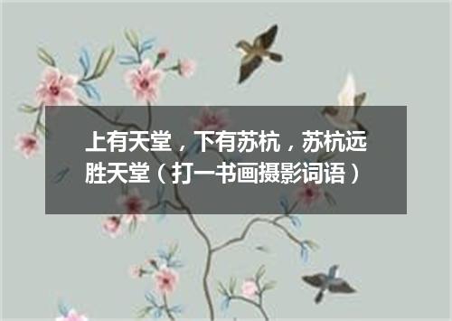 上有天堂，下有苏杭，苏杭远胜天堂（打一书画摄影词语）