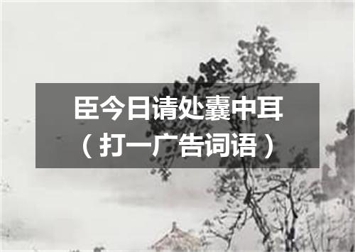 臣今日请处囊中耳（打一广告词语）