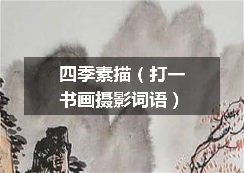 四季素描（打一书画摄影词语）