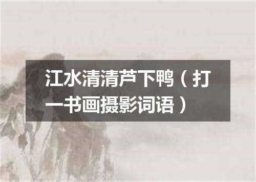 江水清清芦下鸭（打一书画摄影词语）