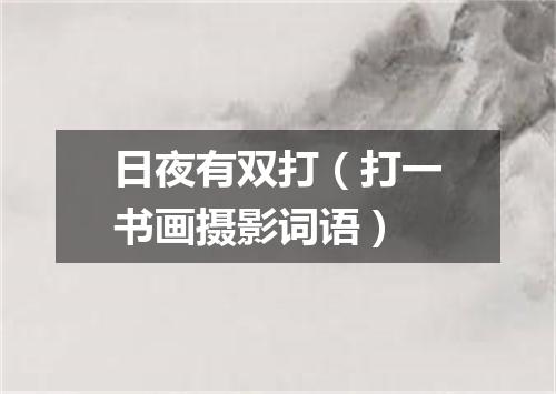 日夜有双打（打一书画摄影词语）