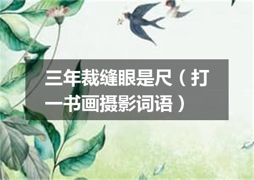 三年裁缝眼是尺（打一书画摄影词语）