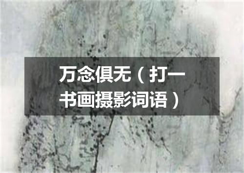 万念俱无（打一书画摄影词语）