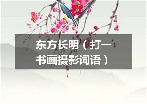 东方长明（打一书画摄影词语）