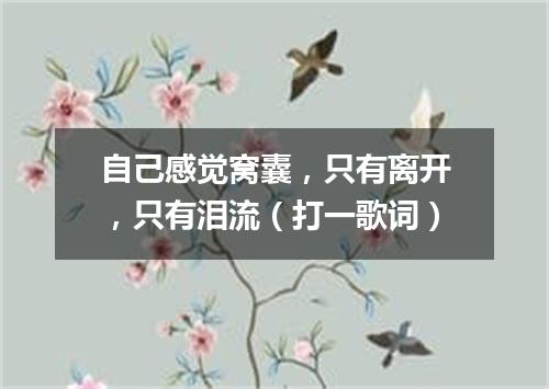 自己感觉窝囊，只有离开，只有泪流（打一歌词）