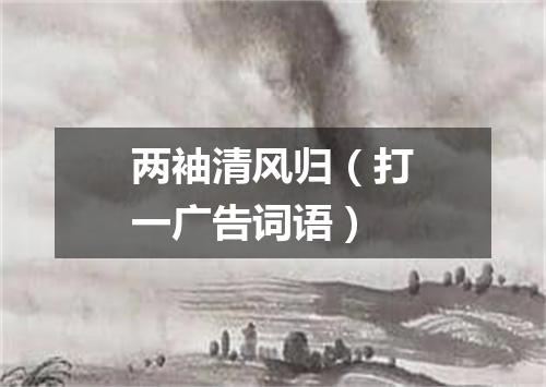 两袖清风归（打一广告词语）