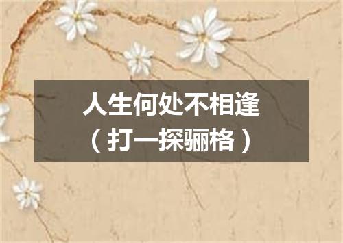 人生何处不相逢（打一探骊格）