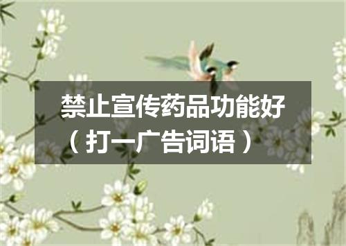 禁止宣传药品功能好（打一广告词语）
