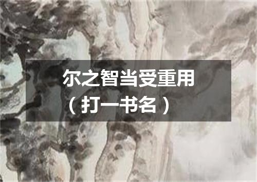 尔之智当受重用（打一书名）