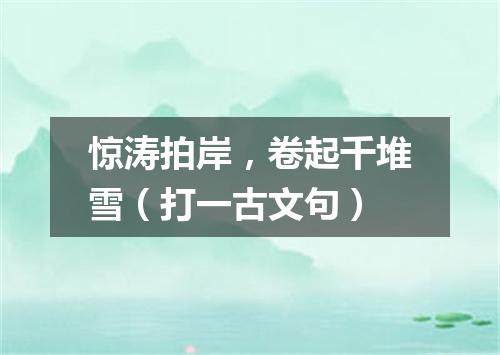 惊涛拍岸，卷起千堆雪（打一古文句）