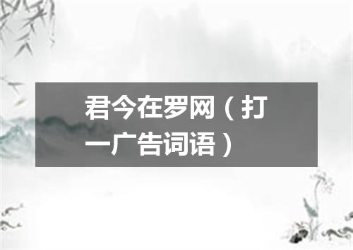 君今在罗网（打一广告词语）