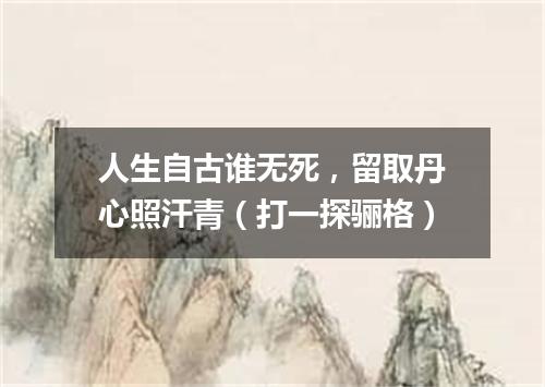 人生自古谁无死，留取丹心照汗青（打一探骊格）