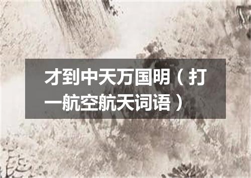 才到中天万国明（打一航空航天词语）