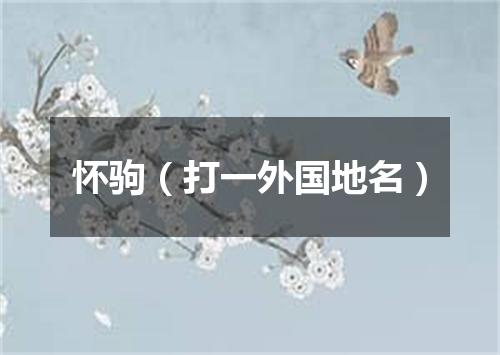 怀驹（打一外国地名）