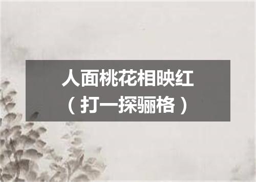 人面桃花相映红（打一探骊格）