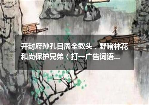 开封府孙孔目周全教头，野猪林花和尚保护兄弟（打一广告词语）