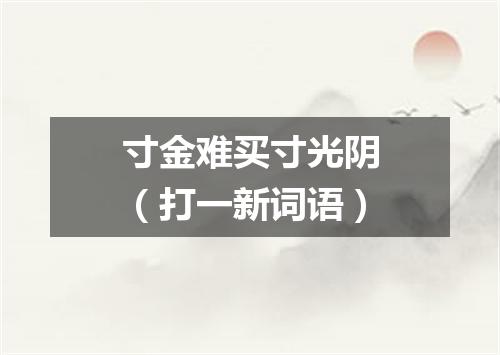 寸金难买寸光阴（打一新词语）