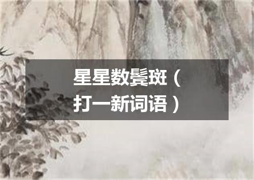 星星数鬓斑（打一新词语）