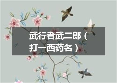 武行者武二郎（打一西药名）