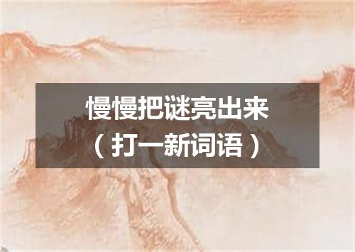 慢慢把谜亮出来（打一新词语）