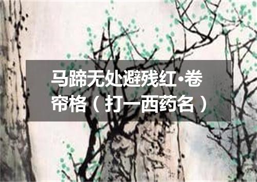 马蹄无处避残红·卷帘格（打一西药名）