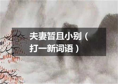 夫妻暂且小别（打一新词语）