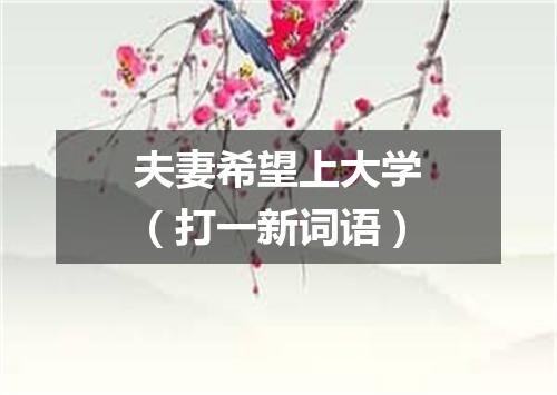 夫妻希望上大学（打一新词语）