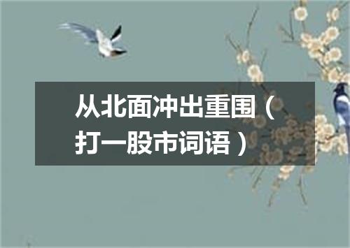 从北面冲出重围（打一股市词语）