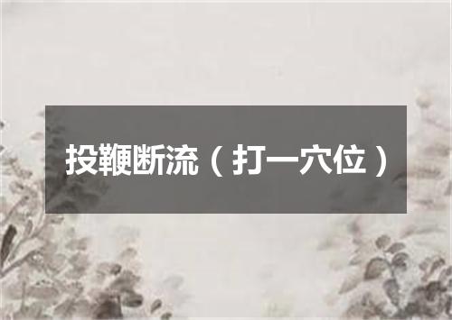 投鞭断流（打一穴位）