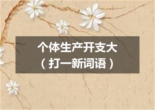 个体生产开支大（打一新词语）