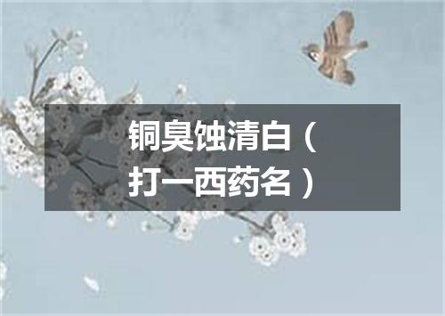 铜臭蚀清白（打一西药名）