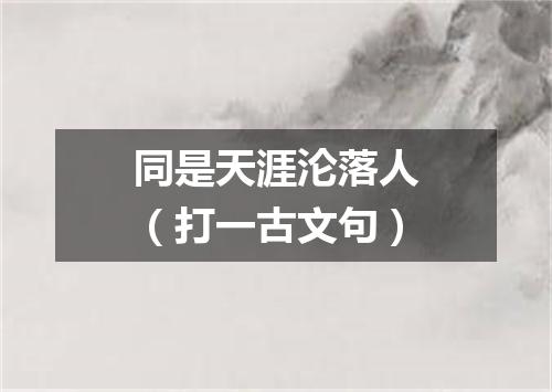 同是天涯沦落人（打一古文句）