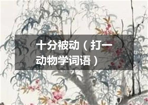 十分被动（打一动物学词语）