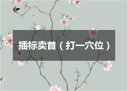 插标卖首（打一穴位）