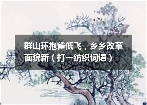 群山环抱雀低飞，乡乡改革面貌新（打一纺织词语）