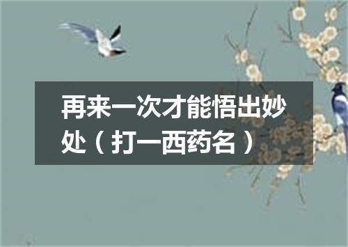 再来一次才能悟出妙处（打一西药名）