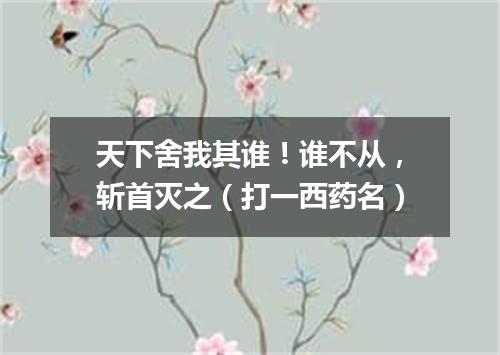 天下舍我其谁！谁不从，斩首灭之（打一西药名）