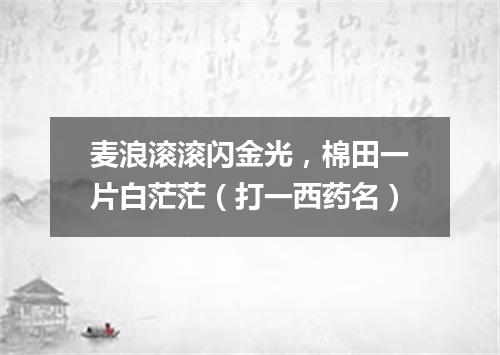 麦浪滚滚闪金光，棉田一片白茫茫（打一西药名）