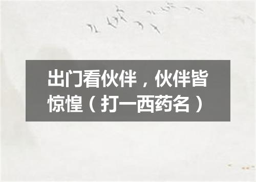 出门看伙伴，伙伴皆惊惶（打一西药名）