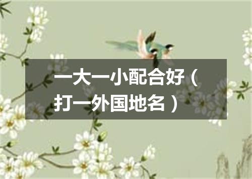 一大一小配合好（打一外国地名）