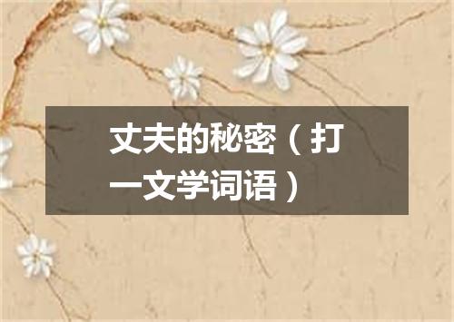 丈夫的秘密（打一文学词语）