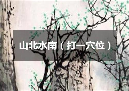 山北水南（打一穴位）
