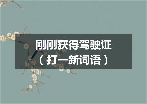 刚刚获得驾驶证（打一新词语）