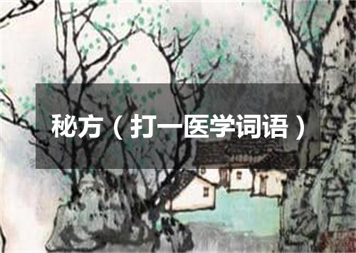 秘方（打一医学词语）