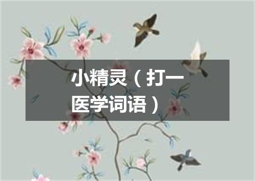 小精灵（打一医学词语）