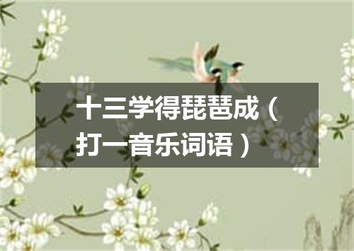 十三学得琵琶成（打一音乐词语）