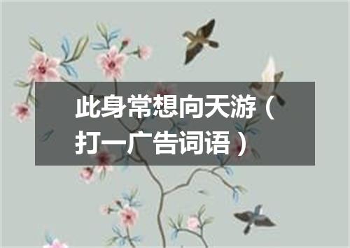 此身常想向天游（打一广告词语）