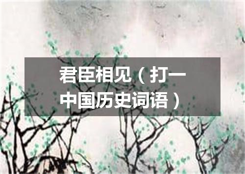 君臣相见（打一中国历史词语）