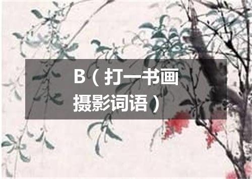 B（打一书画摄影词语）
