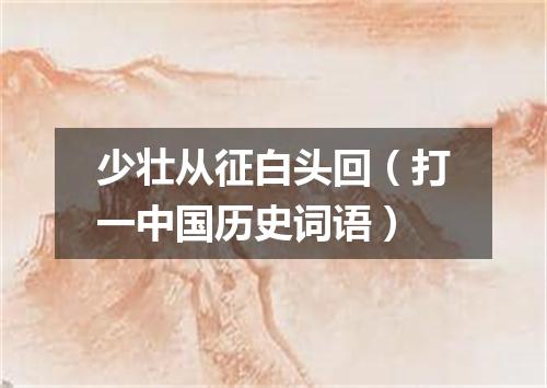少壮从征白头回（打一中国历史词语）